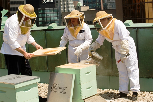 NBE_Hotel-Bees-06jun08-117.jpg